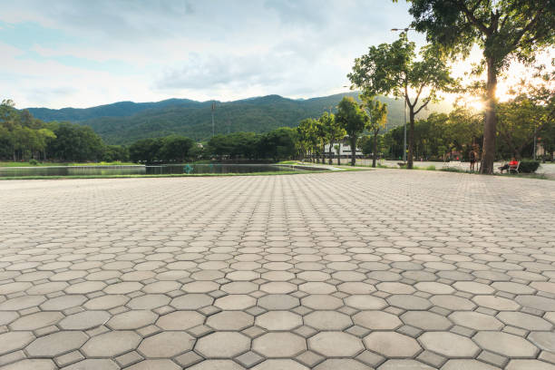 Best Custom Driveway Pavers  in Shady Point, OK